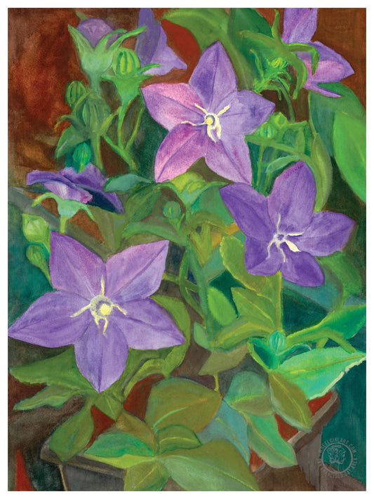 Wheelgirlart Balloon Flowers Purple HD ChromaLuxe® ALUMINUM PHYSICAL PRINT