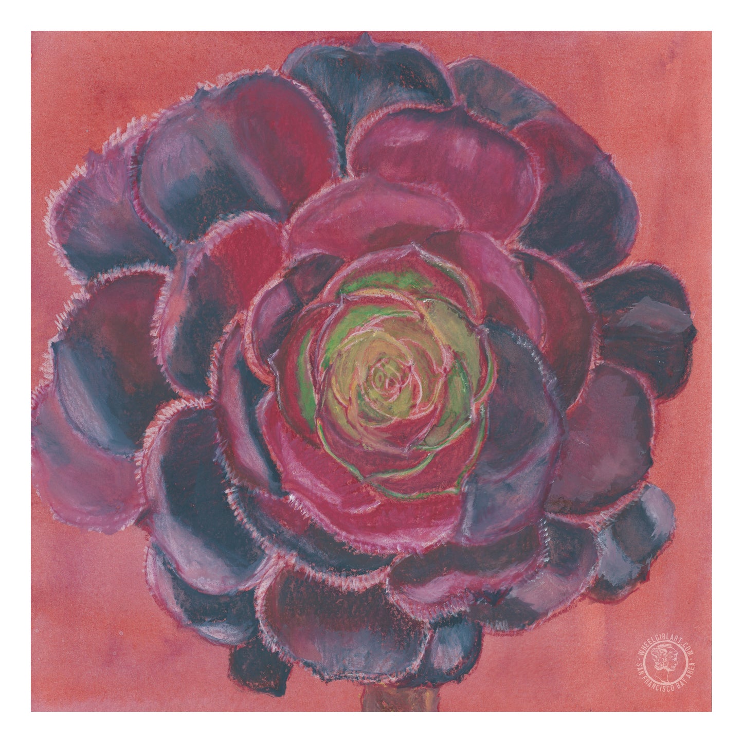 Wheelgirlart Black Rose Succulent HD ChromaLuxe® ALUMINUM PHYSICAL PRINT