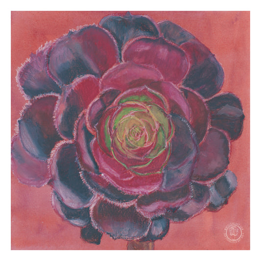 Wheelgirlart Black Rose Succulent HD ChromaLuxe® ALUMINUM PHYSICAL PRINT