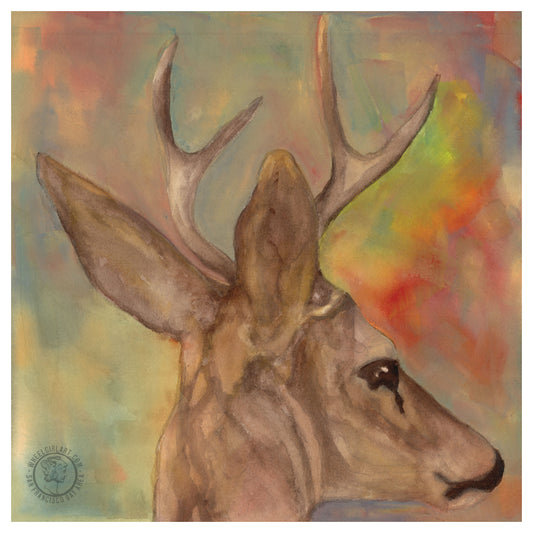 Wheelgirlart Deer Columbian Black-Tailed Buck No. 3 HD ChromaLuxe® ALUMINUM PHYSICAL PRINT