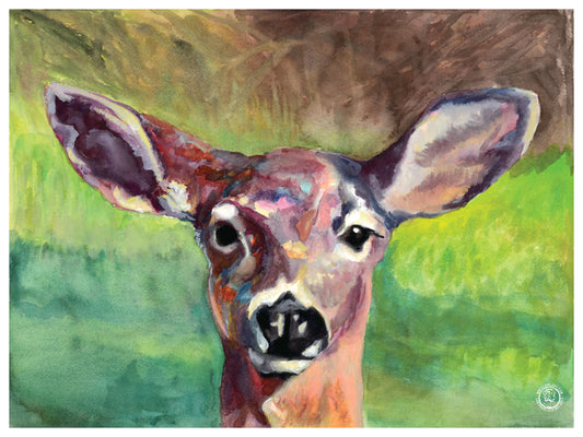 Wheelgirlart Deer Columbian Black-Tailed Doe No. 1 HD ChromaLuxe® ALUMINUM PHYSICAL PRINT