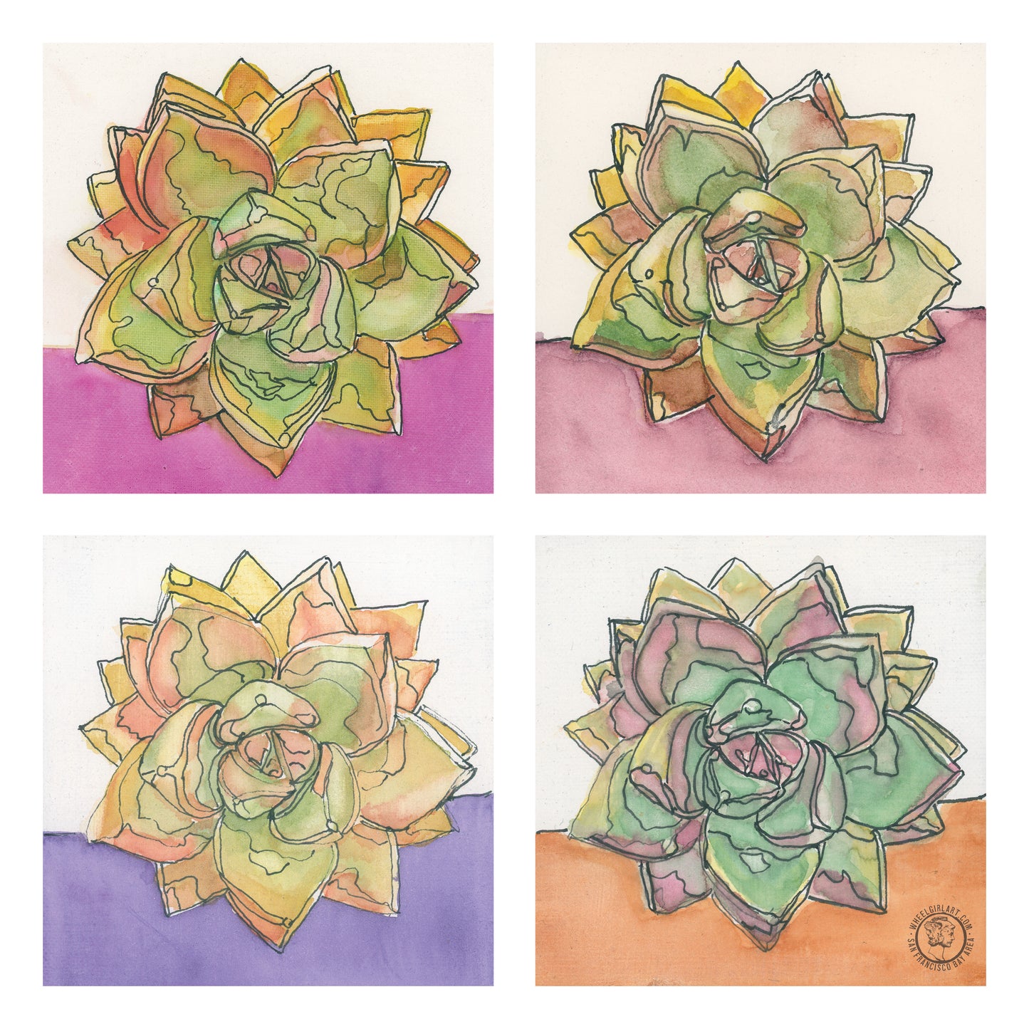 Wheelgirlart Ghost Plant Succulents HD ChromaLuxe® ALUMINUM PHYSICAL PRINT