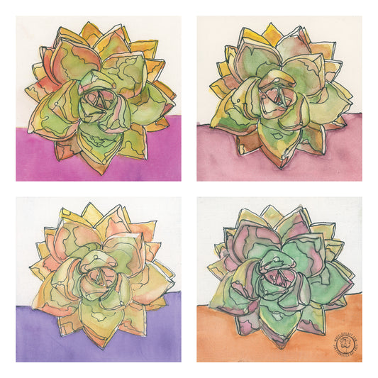 Wheelgirlart Ghost Plant Succulents HD ChromaLuxe® ALUMINUM PHYSICAL PRINT
