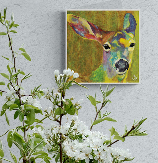 Wheelgirlart Deer Columbian Black-Tailed Doe No. 3 HD ChromaLuxe® ALUMINUM PHYSICAL PRINT