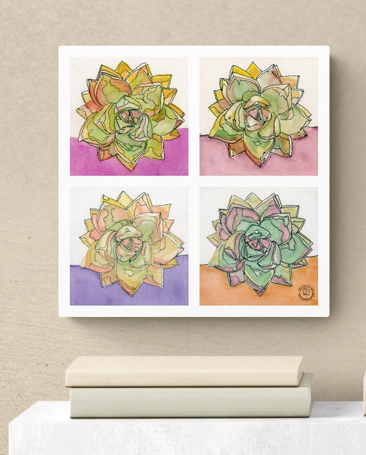 Wheelgirlart Ghost Plant Succulents HD ChromaLuxe® ALUMINUM PHYSICAL PRINT