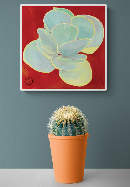 Wheelgirlart Paddle Plant Succulent HD ChromaLuxe® ALUMINUM PHYSICAL PRINT