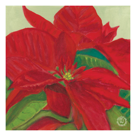 Red Poinsettia (Euphorbia Pulcherrima) PHYSICAL PRINT